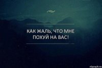 Как жаль, что мне похуй на вас!