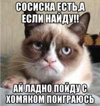 сосиска есть,а если найду!! ай ладно пойду с хомяком поиграюсь