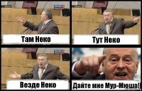 Там Неко Тут Неко Везде Неко Дайте мне Мур-Мюша!