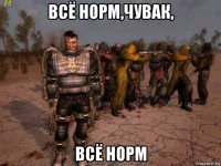 всё норм,чувак, всё норм