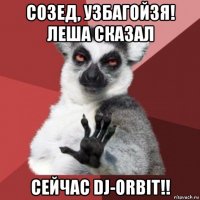 созед, узбагойзя! леша сказал сейчас dj-orbit!!