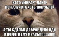 котэ умирает дайте пожалуйста хоть 100рублей а ты сделал доброе дело иди и помоги ему мрась!!!!!!!!¡!!!!!!