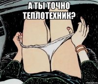 а ты точно теплотехник? 