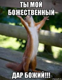 ты мой божественный дар божий!!!