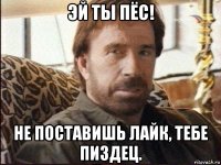 эй ты пёс! не поставишь лайк, тебе пиздец.