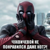  чухвичевой не понравился даже кот?!