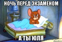 ночь перед экзаменом а ты юля