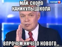 май, скоро каникулы,школа впрочем,ничего нового...