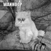 wanhoop         