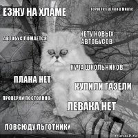 езжу на хламе купили газели нету новых автобусов повсюду льготники плана нет горючка вечно в минус левака нет автобус ломается проверки постоянно куча школьников