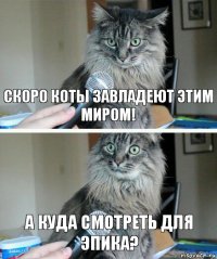 Скоро коты завладеют этим миром! А куда смотреть для эпика?