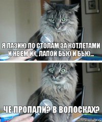 Я лазию по столам за котлетами и не ем их, лапой бью и бью... Че пропали? В волосках?