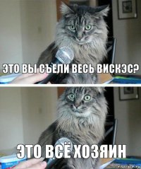 Это вы съели весь вискэс? это всё хозяин