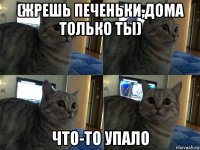 (жрешь печеньки,дома только ты) что-то упало