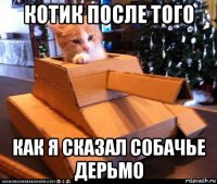 котик после того как я сказал собачье дерьмо