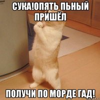 сука!опять пьный пришёл получи по морде гад!