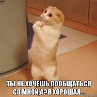  ты не хочешь,пообщаться со мной,а?я хорошая...