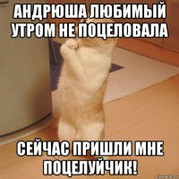 андрюша любимый утром не поцеловала сейчас пришли мне поцелуйчик!