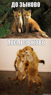 до зыково после зыково