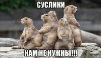 суслики нам не нужны!!!