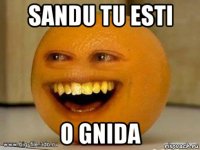 sandu tu esti o gnida