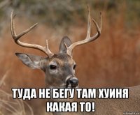  туда не бегу там хуиня какая то!