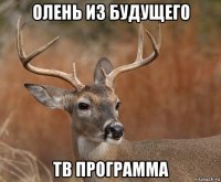 олень из будущего тв программа