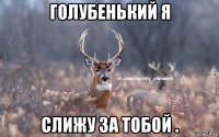 голубенький я слижу за тобой .