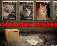 Сёзя выбирает напарника