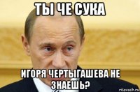 ты че сука игоря чертыгашева не знаешь?