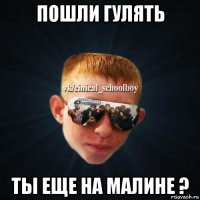 пошли гулять ты еще на малине ?