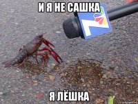 и я не сашка я лёшка