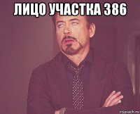 лицо участка 386 