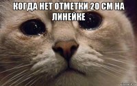 когда нет отметки 20 см на линейке 