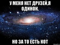 у меня нет друзей,я одинок. но за то есть кот