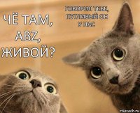 Чё там, abz, живой? Говорил тебе, пугливый он у нас