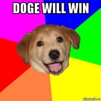 doge will win 