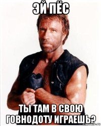 эй пёс ты там в свою говнодоту играешь?