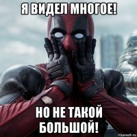 я видел многое! но не такой большой!