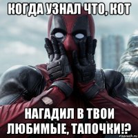 когда узнал что, кот нагадил в твои любимые, тапочки!?