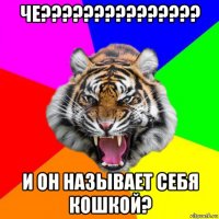 че??????????????? и он называет себя кошкой?