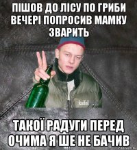 пішов до лісу по гриби вечері попросив мамку зварить такої радуги перед очима я ше не бачив