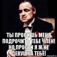 Ты просишь меня подрочить тебе член! но прости я ж не девушка тебе!