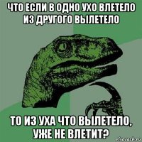 что если в одно ухо влетело из другого вылетело то из уха что вылетело, уже не влетит?