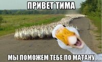 привет тима мы поможем тебе по матану