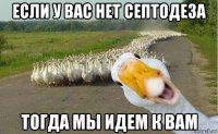 если у вас нет септодеза тогда мы идем к вам