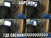 барсик где сасики???????????