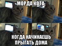 морда кота, когда начинаешь прыгать дома