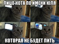 лицо кота по имени юля которая не будет пить