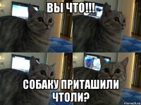 вы что!!! собаку приташили чтоли?